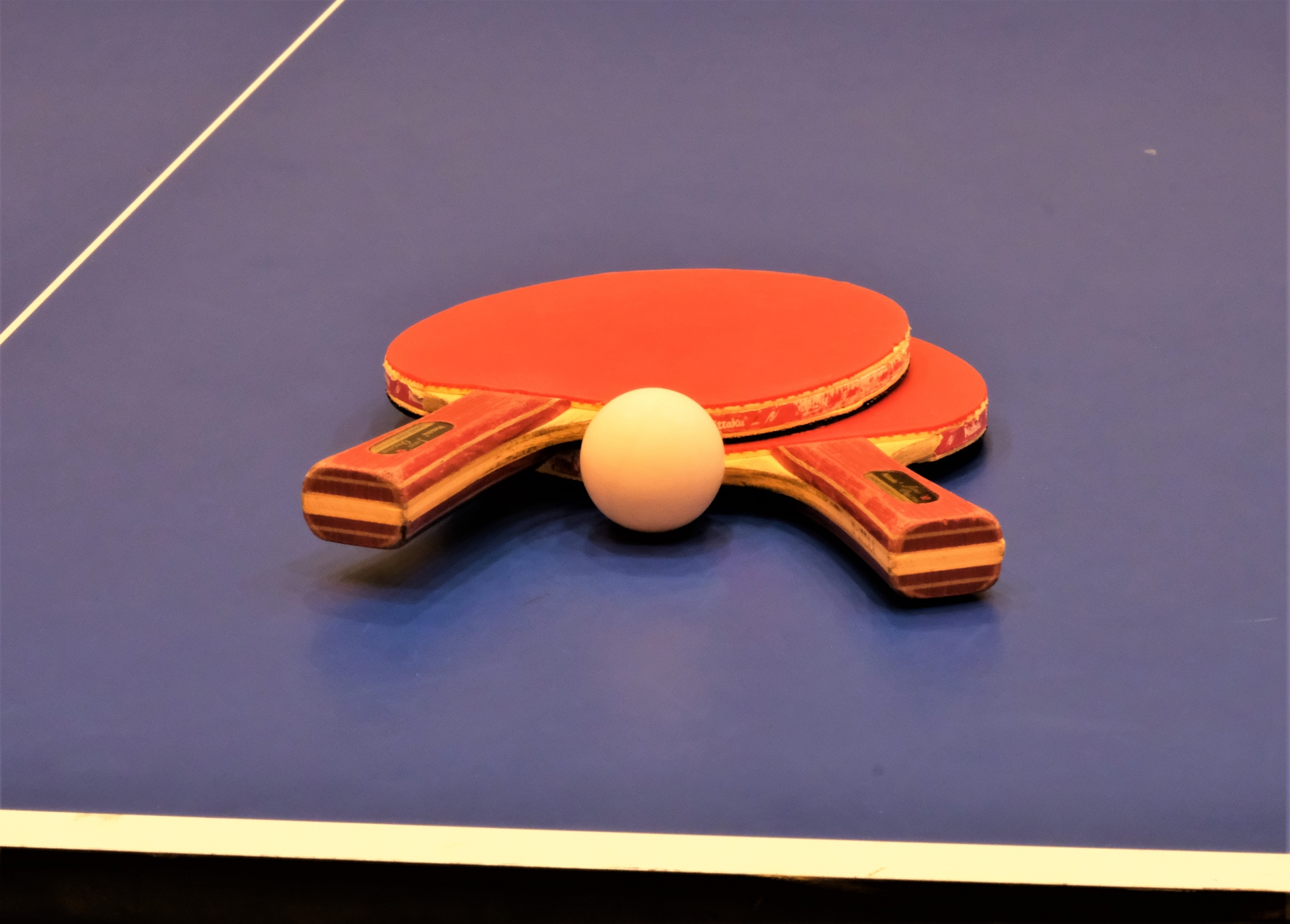 2022年版】卓球メーカー7社 新製品 ラケット性能比較表・バタフライ 