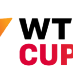 WTTカップファイナル